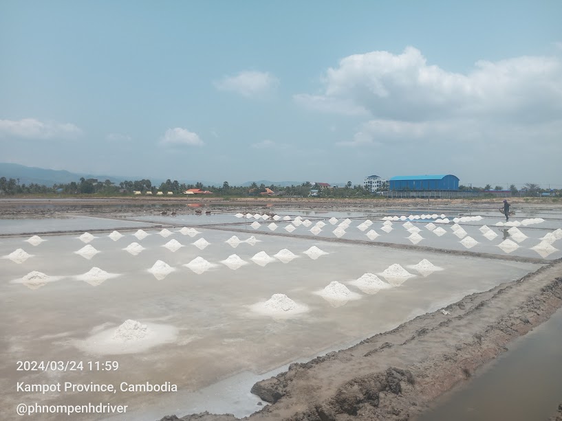 Salt field in kompot